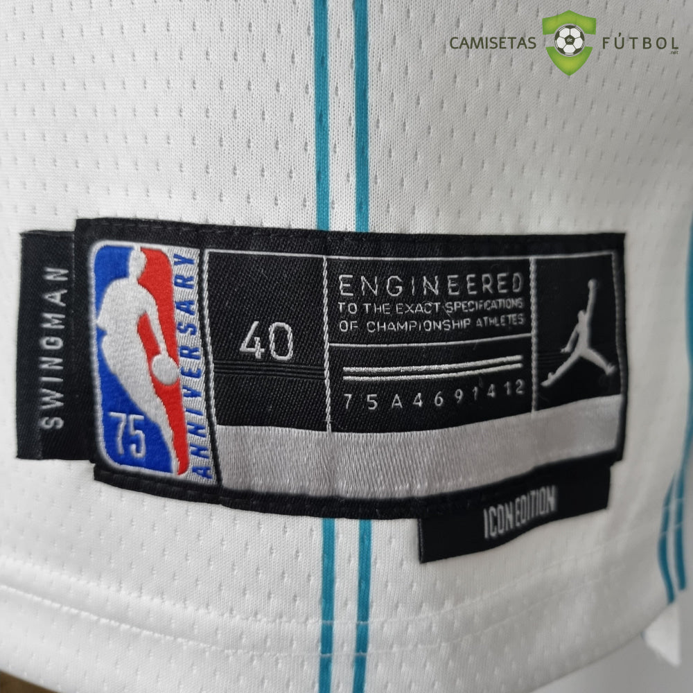 Camiseta Charlotte Hornets 21-22 - Gordon Hayward 20 Blanco Rayas Nba