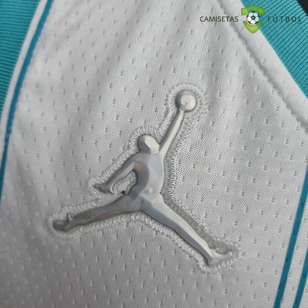 Camiseta Charlotte Hornets 21-22 - Gordon Hayward 20 Blanco Rayas Nba