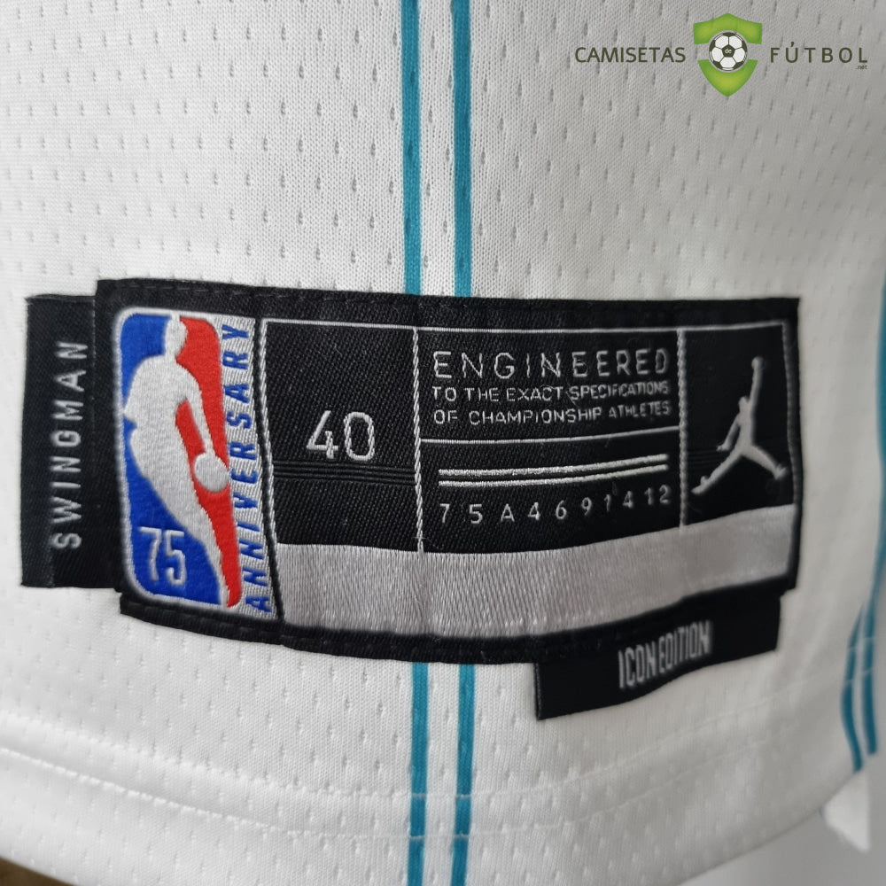 Camiseta Charlotte Hornets 21-22 - Gordon Hayward 20 Blanco Rayas Nba
