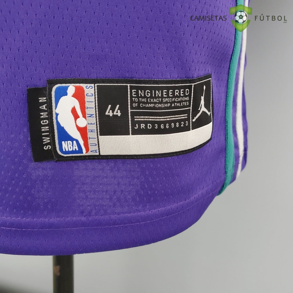 Camiseta Charlotte Hornets 21-22 - Gordon Hayward 20 Violeta Nba