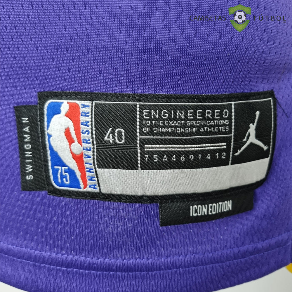 Camiseta Los Angeles Lakers 21-22 - Lebron James 6 Púrpura Amarilla Nba